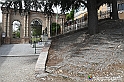 VBS_2815 - Neive
